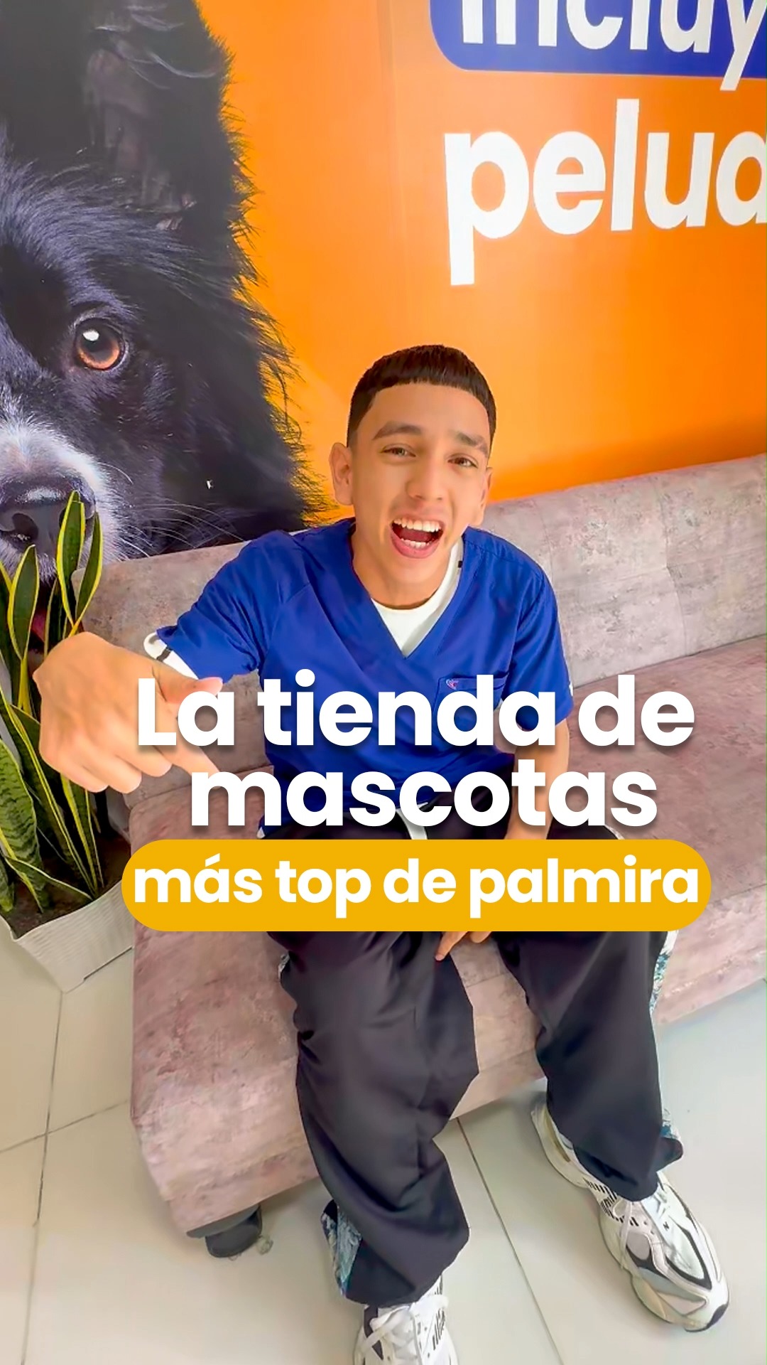 N&S Palmira